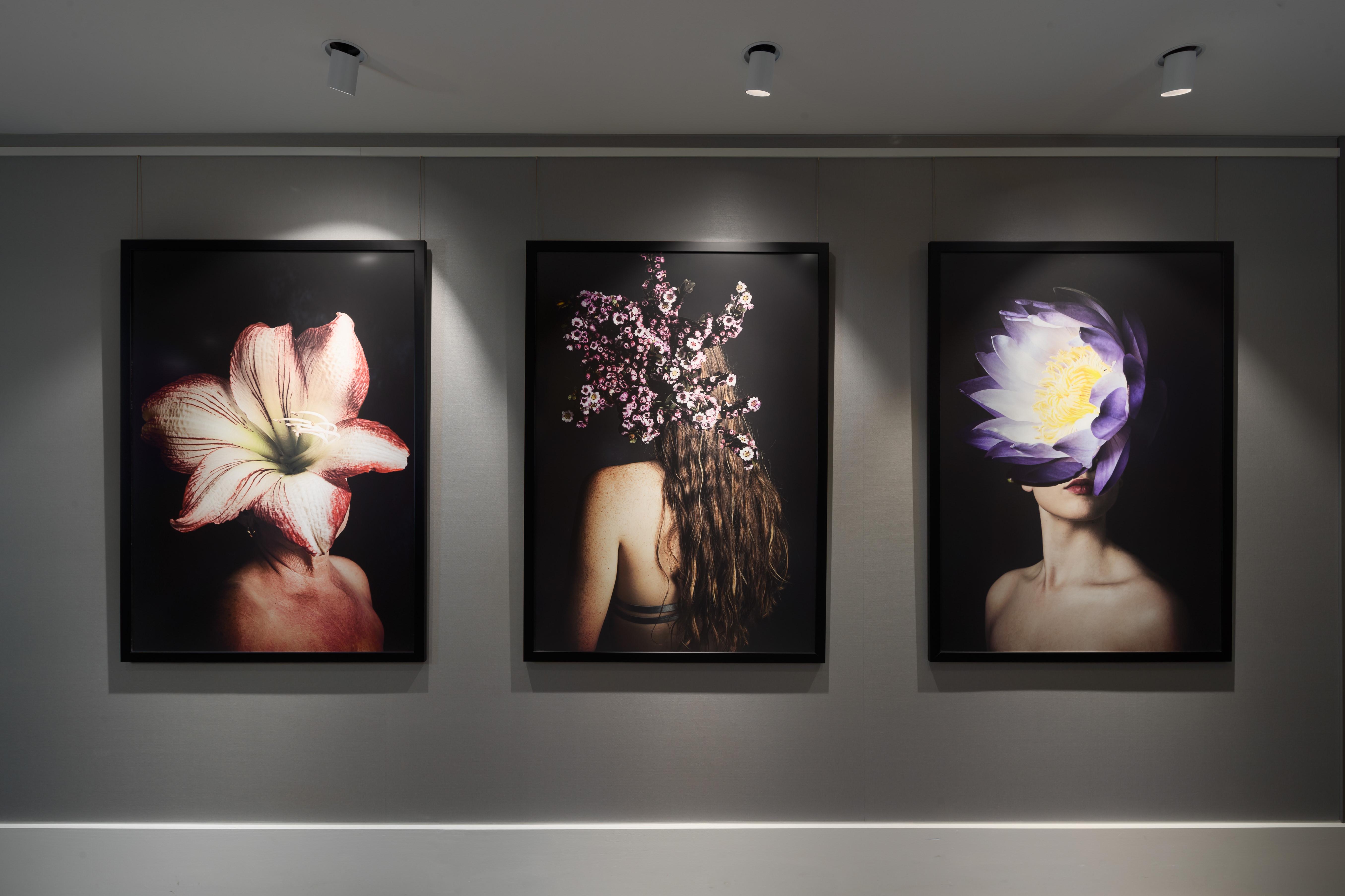 Готель Crystalbrook Bailey Кернс Екстер'єр фото The Flower Series
